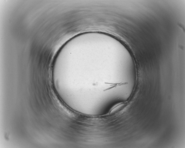 X0000102301517200808152006