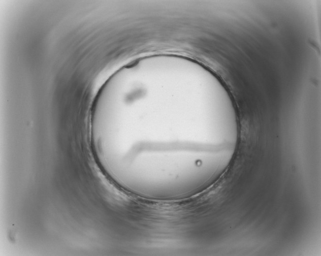 X0000102301520200808152006