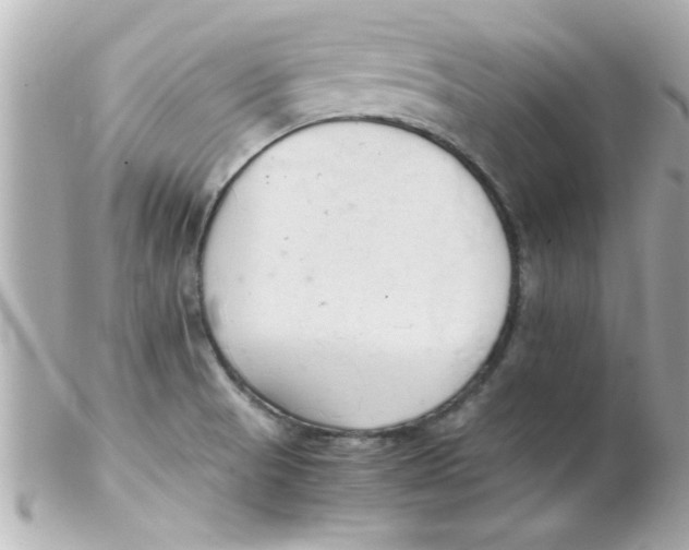 X0000102301521200808152006