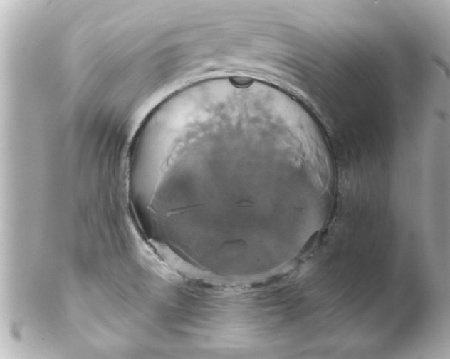 X0000102301522200808152006