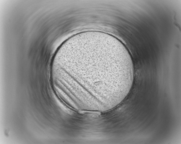X0000102301523200808152006