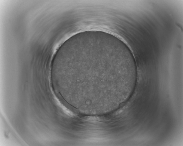 X0000102301525200808152006