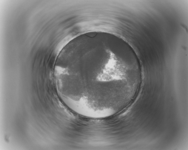 X0000102301529200808152006