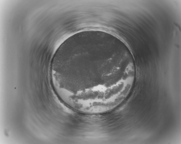 X0000102301533200808152006