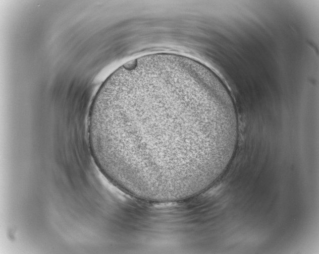 X0000102301535200808152006