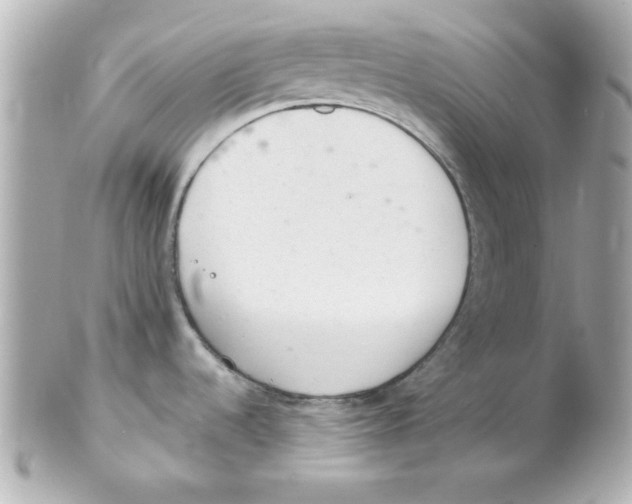 X0000102301536200808152006