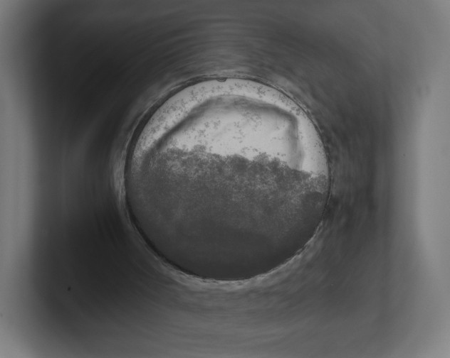 X0000102300002200808221430