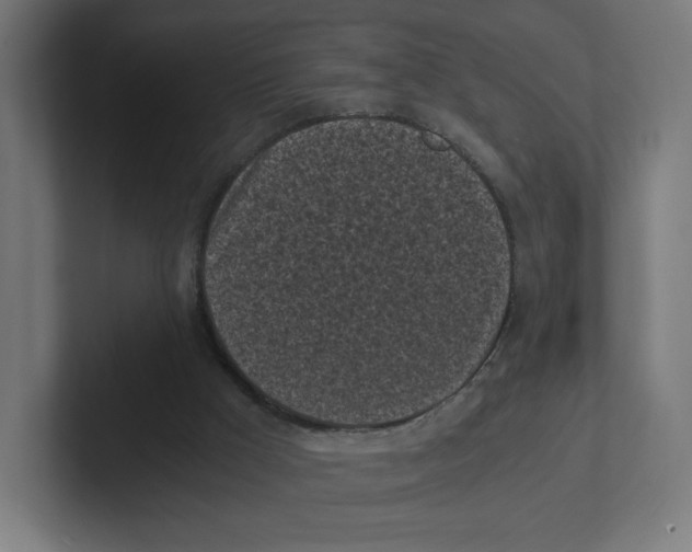 X0000102300009200808221430
