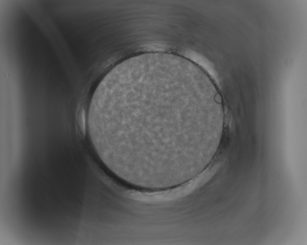 X0000102300013200808221430