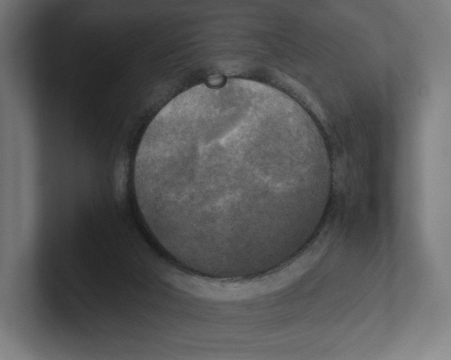 X0000102300018200808221430