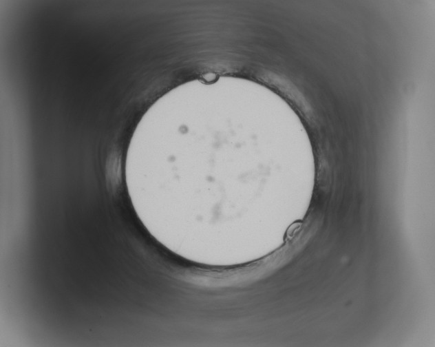 X0000102300021200808221430