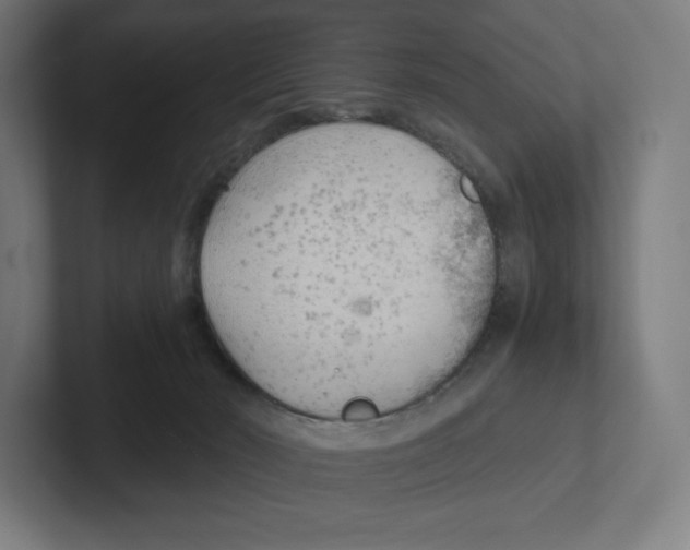 X0000102300030200808221430