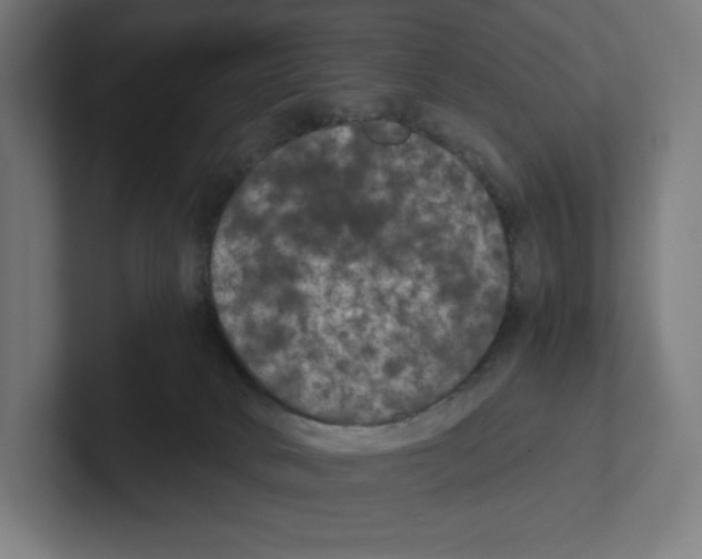 X0000102300034200808221430