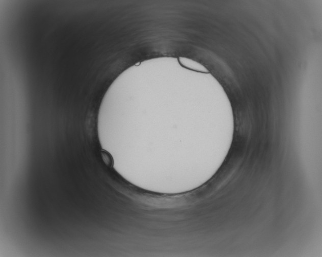 X0000102300036200808221430