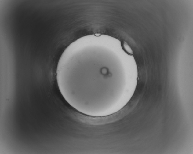 X0000102300039200808221430