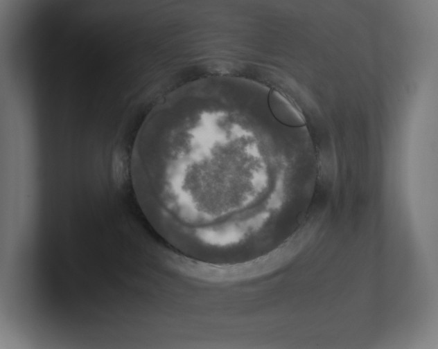 X0000102300043200808221430