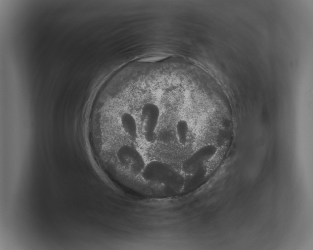 X0000102300049200808221429