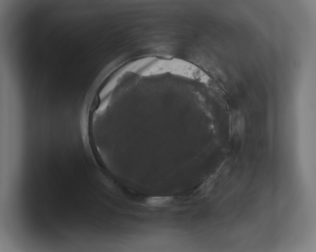 X0000102300051200808221429