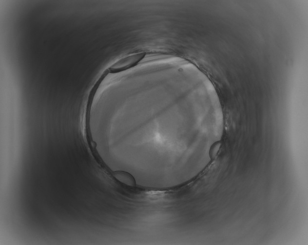 X0000102300052200808221429