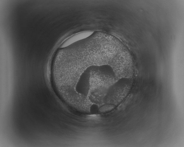 X0000102300053200808221429