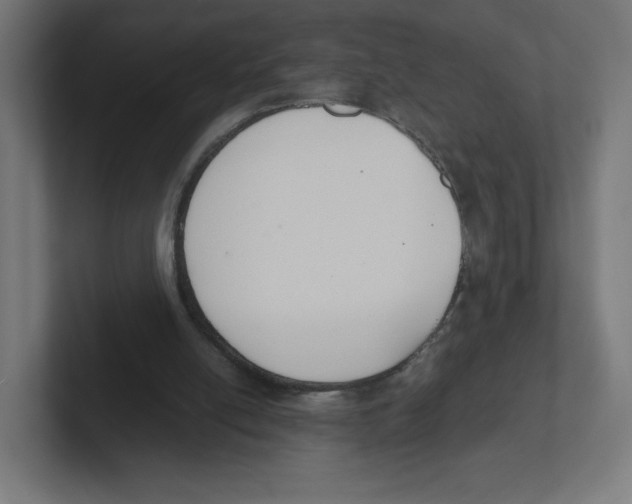 X0000102300054200808221429