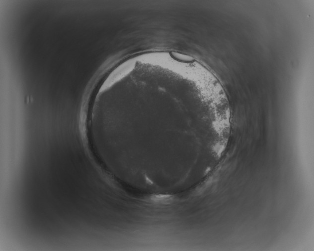 X0000102300055200808221429