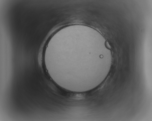 X0000102300056200808221429