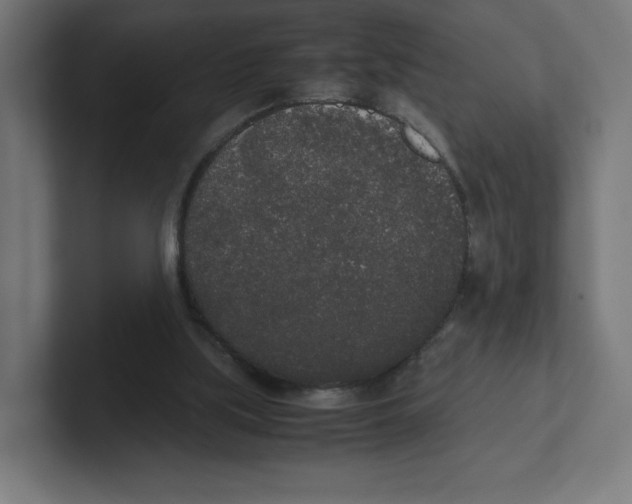 X0000102300059200808221429