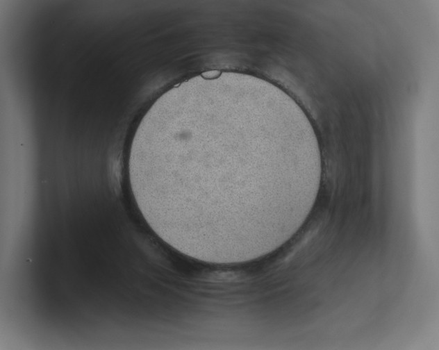 X0000102300063200808221429