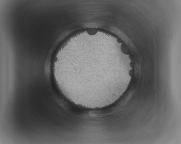 X0000102300064200808221429