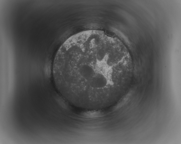 X0000102300065200808221429