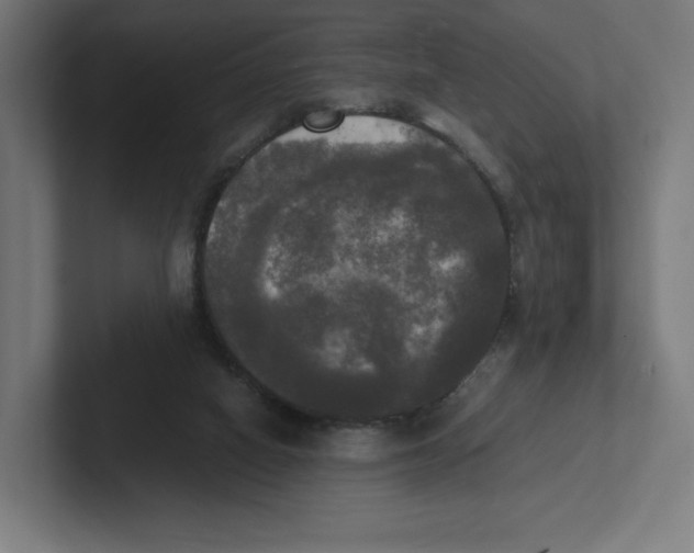 X0000102300066200808221429