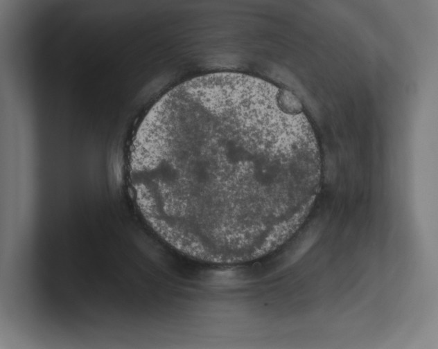 X0000102300068200808221429