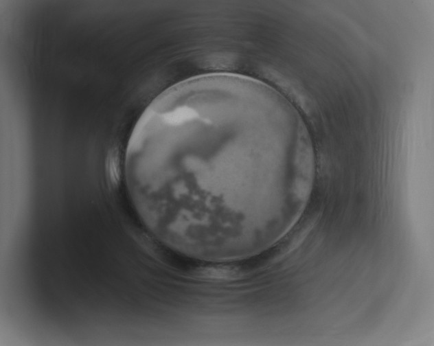 X0000102300069200808221429