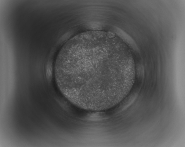 X0000102300072200808221429