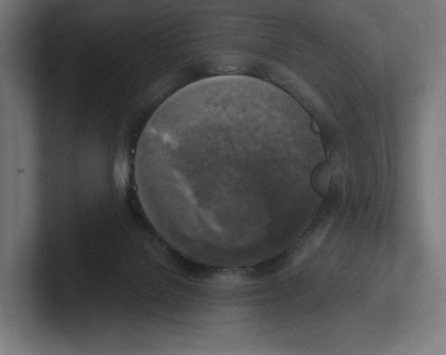 X0000102300076200808221430