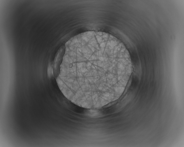 X0000102300095200808221430