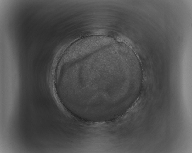 X0000102300097200808221429