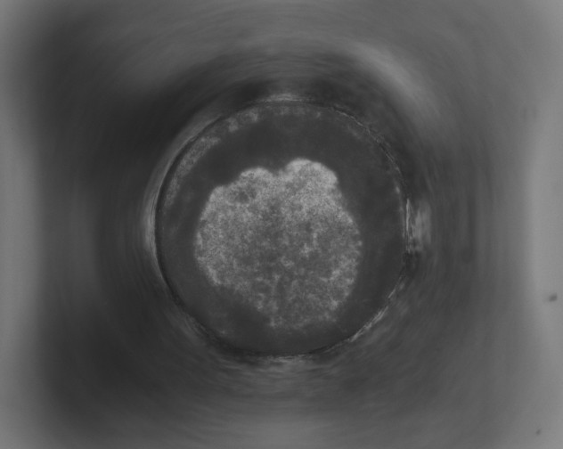 X0000102300099200808221429