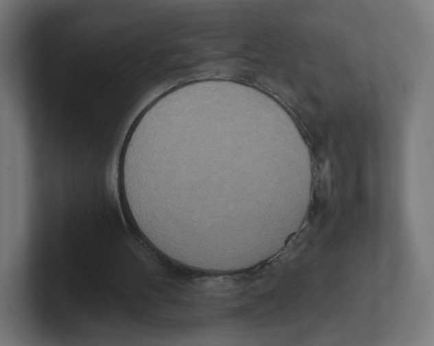 X0000102300100200808221429