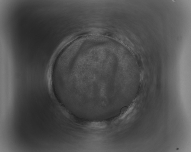 X0000102300101200808221429