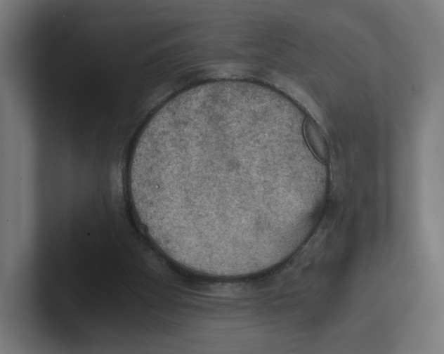 X0000102300105200808221429