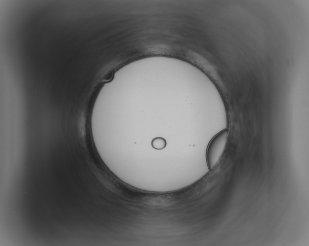 X0000102300106200808221429