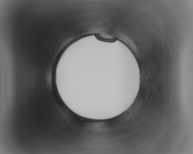 X0000102300108200808221429