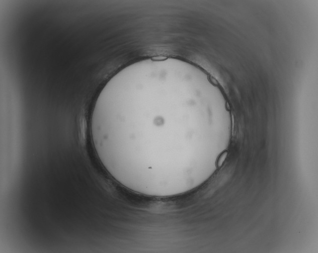 X0000102300109200808221429