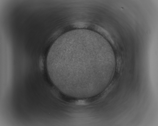 X0000102300114200808221429