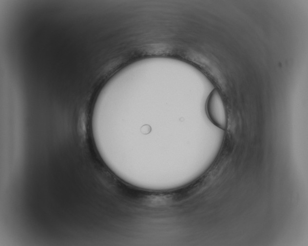 X0000102300115200808221429