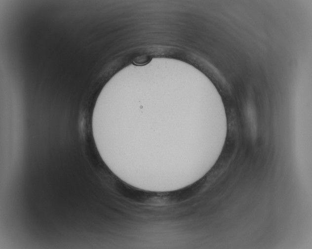 X0000102300119200808221429