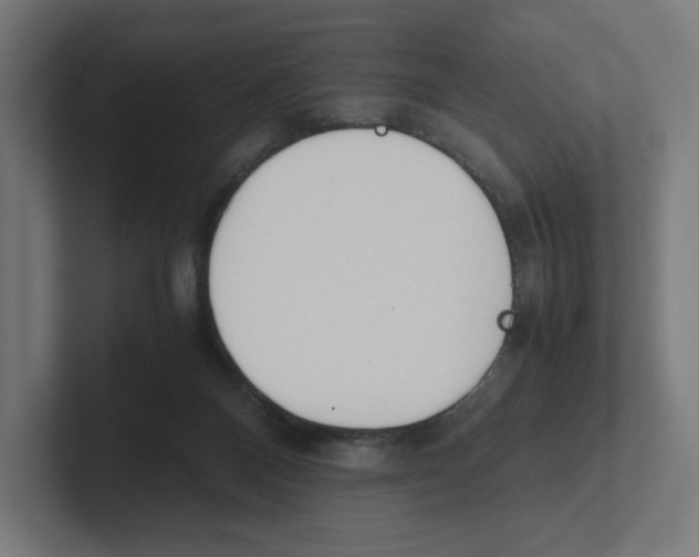X0000102300120200808221429