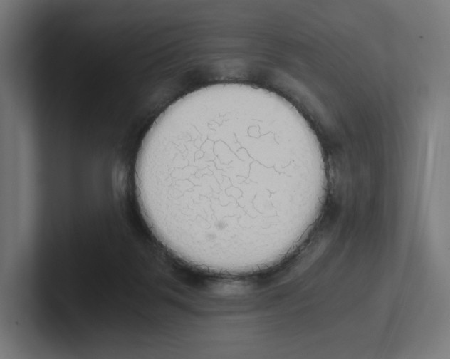 X0000102300123200808221429